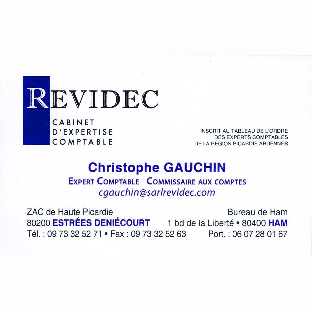 logo de revidec